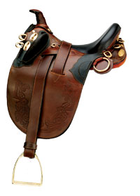Kimberley_Superior_Horn.jpg