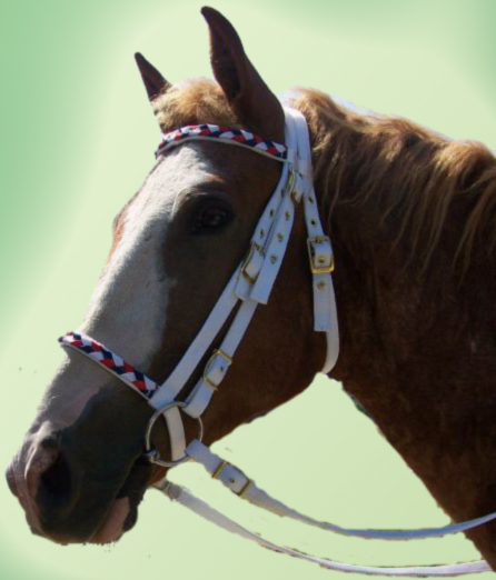 RM-ENGBraid.jpg