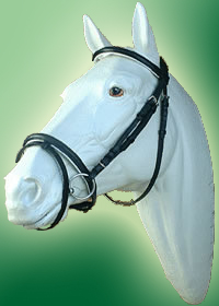 SL-2008.jpg