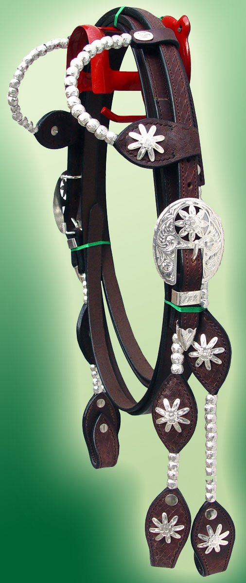 oneearbridle