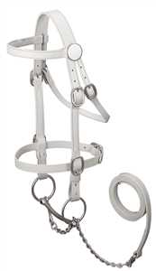 whiteshowbridle