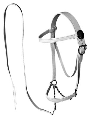 whiteshowhalterlead