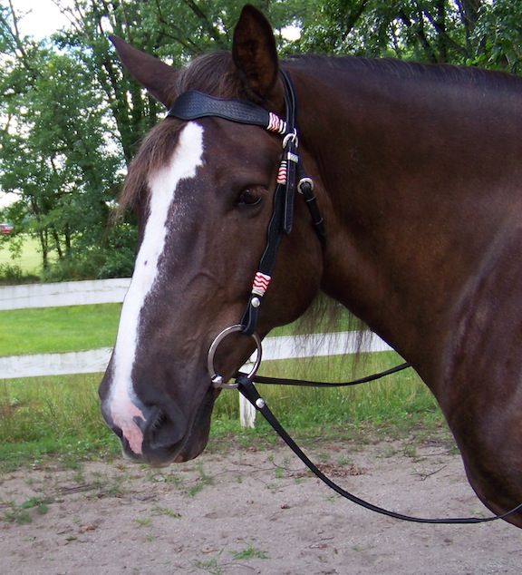 Horse Bridle: Black Western Bridle